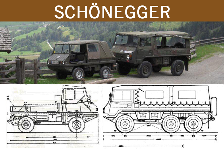 Schoenegger Pinzgauer Haflinger Classic Portal Gallery Teaser1